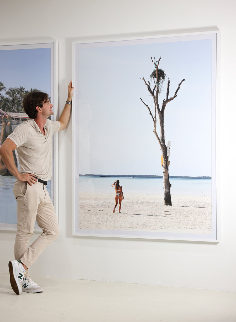 The Tree of Harbour Island – Limited Edition Print