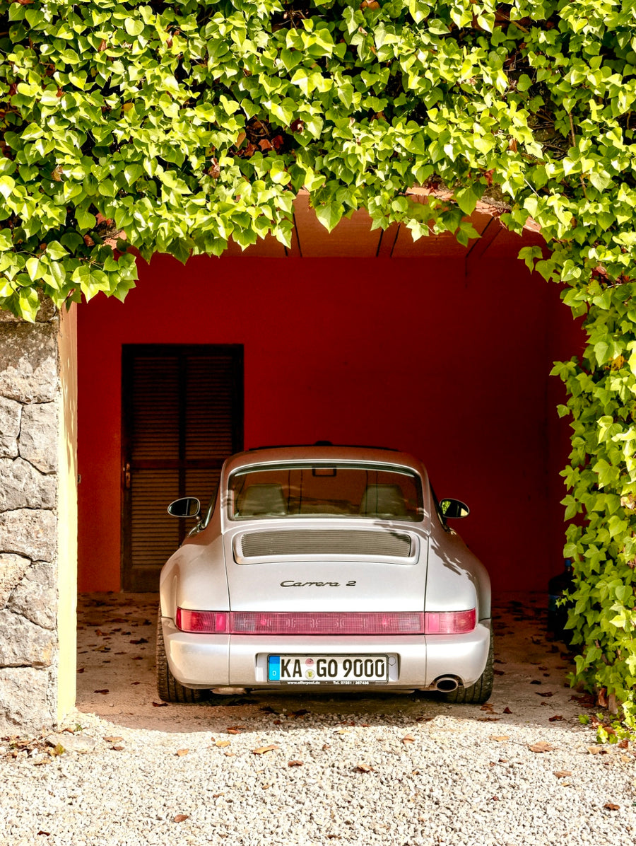 Carrera in Hiding